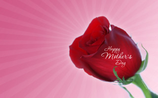 Red rose happy mothers day - a red rose free wallpaper for desktop