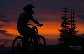 Man riding bike sunset tree - dave allsop free wallpaper