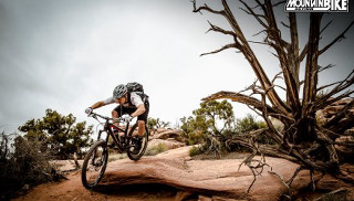 Man bike dirt road tree - round free wallpaper