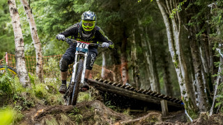 Dirt bike forest trail tilt - a dirt bike free wallpaper