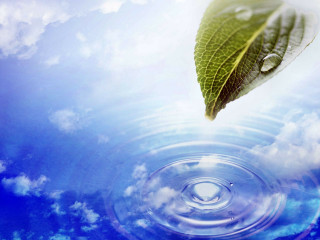 Leaf floating water sky clouds - a leaf free wallpaper