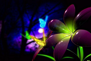 Flower butterfly night lightshow tree - mystical free wallpaper