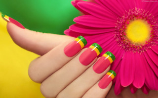 Woman hand pink flower yellow - bright color free wallpaper