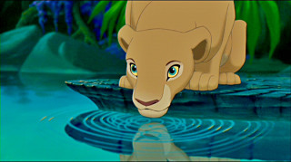 Lion cub rock water reflection - don bluth free wallpaper