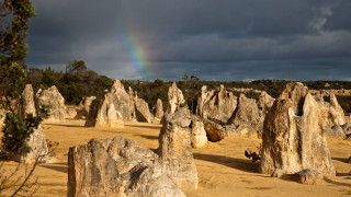 Rainbow desert landscape rocks trees - art free wallpaper for desktop