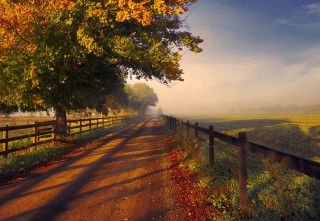 Road fence trees field grass - a fence and trees free wallpaper