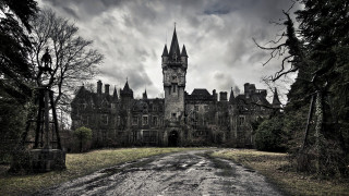 Castle clock tower forest dirt - a large castle free wallpaper