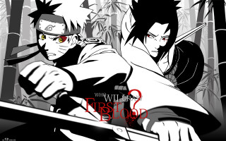 Anime characters swords bamboo forest - red eye free wallpaper