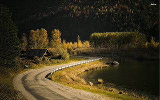 Lake cabin road tiltshift landscape - a forest in the background free wallpaper