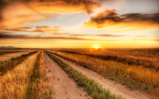 Dirt road sunset field grass - a dirt road free wallpaper