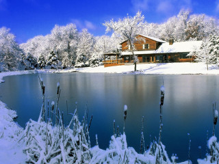 House snow trees lake large - a house free wallpaper
