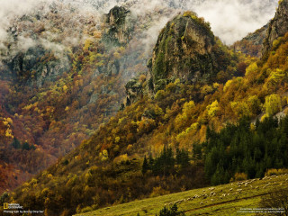Mountain trees clouds foreground background - a matte painting free wallpaper