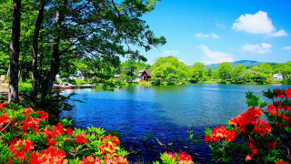 Lake house autumn flowers blue - a house in the background free wallpaper