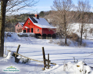 Red barn snow fence trees - a fence and trees free wallpaper