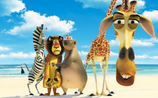 Cartoon animals beach ocean zebra - a group of cartoon animals free wallpaper