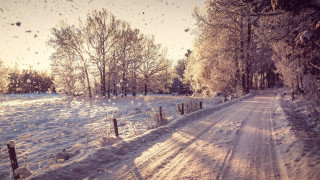 Snowy road fence trees background - a snowy road free wallpaper