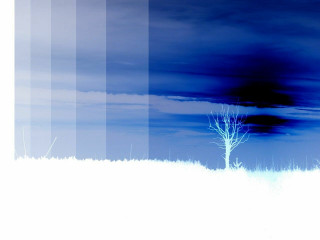 Lone tree field blue sky - adobe lightroom free wallpaper