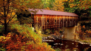 Covered bridge fall trees stream - underneath free wallpaper