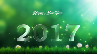 Happy new year daisies grass - free new year wallpaper