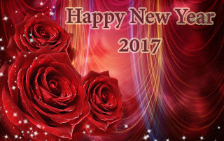 Red rose happy new year - anne rigney free wallpaper