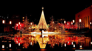 Christmas tree city park night - the water and buildings free wallpaper