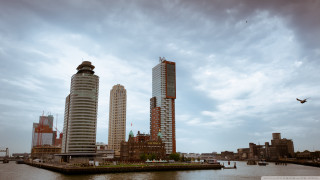 City tall buildings water bird - de stijl free wallpaper
