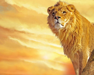 Lion rock sunset clouds sky 2 - a sunset in the background free wallpaper
