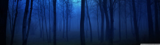 Dark forest full moon trees 2 - full free wallpaper