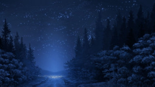Night scene road trees stars - firefly free wallpaper