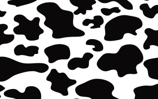 Cow pattern black white silk - spot free wallpaper