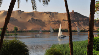 River boats mountain palm trees - river free wallpaper