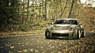 Car driving forest road leaves - the background free wallpaper