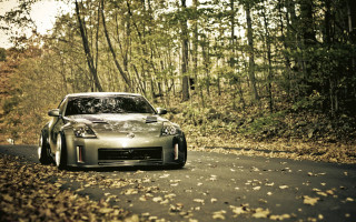 Car driving road woods leaves - the ground and trees free wallpaper