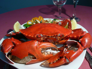 Lobsters wine table utensils dining - food photography free wallpaper