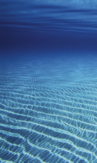 Blue ocean wave pattern swimmer - wet free wallpaper