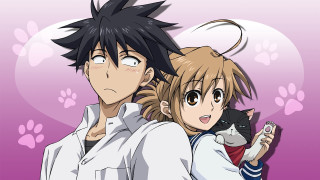 Anime couple cat shoulder image - their shoulder free wallpaper