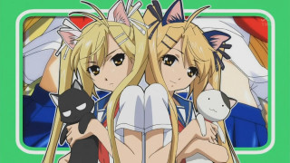 Blonde girls cat stuffed animal - stuffed free wallpaper