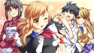 Anime girls cats back group - a group of anime girls free wallpaper