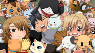 Girl cats crowd around group - her free wallpaper
