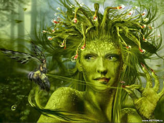 Woman green hair bird shoulder - digital painting free wallpaper