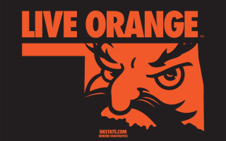 Orange black tiger face live - gritty free wallpaper