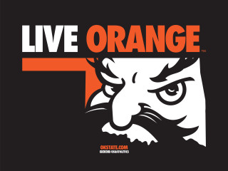 Orange black tiger head logo - gritty free wallpaper