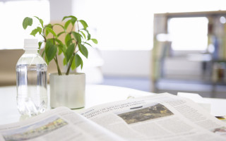 Plant vase table newspaper water - private press free wallpaper for desktop