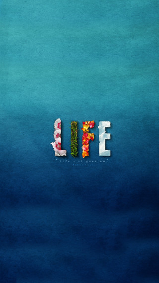 Blue background flowers leaves spelling - alberto seveso free wallpaper
