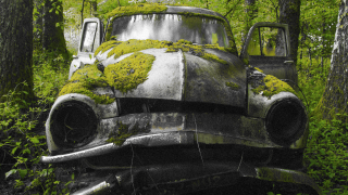Old truck moss woods trees - moss free wallpaper