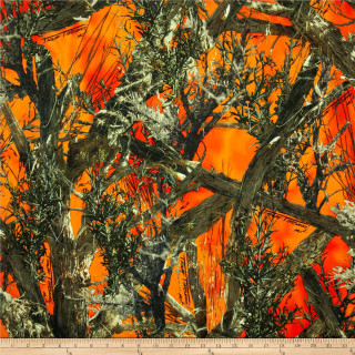 Tree closeup orange green leaves - a close up of a tree free wallpaper