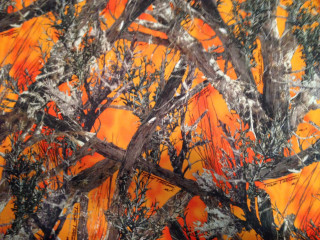 Autumn fire trees orange yellow - a silk screen free wallpaper