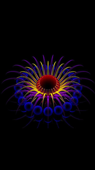 Colorful flower black background red 2 - abstract art free wallpaper