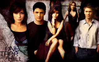 Group people sitting wall picture - a picture of them free wallpaper