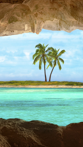 Palm tree water beach rock - matte painting free wallpaper